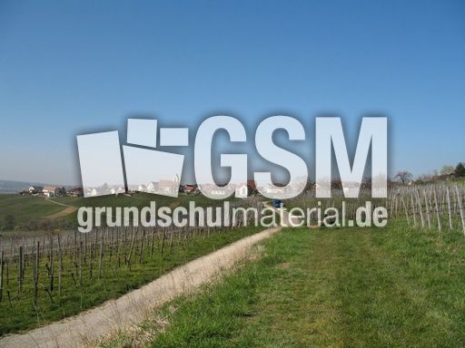 Weil am Rhein Weiler Weinweg 027.jpg